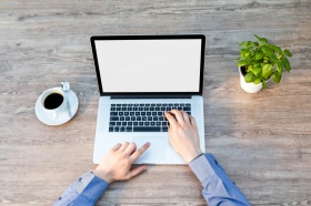 Hände tippen auf einem Laptop, links steht eine Kaffeetasse, rechts eine kleine Pflanze